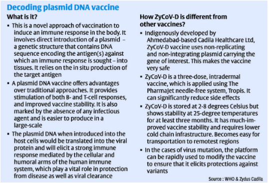 PLASMID DNA VACCINE